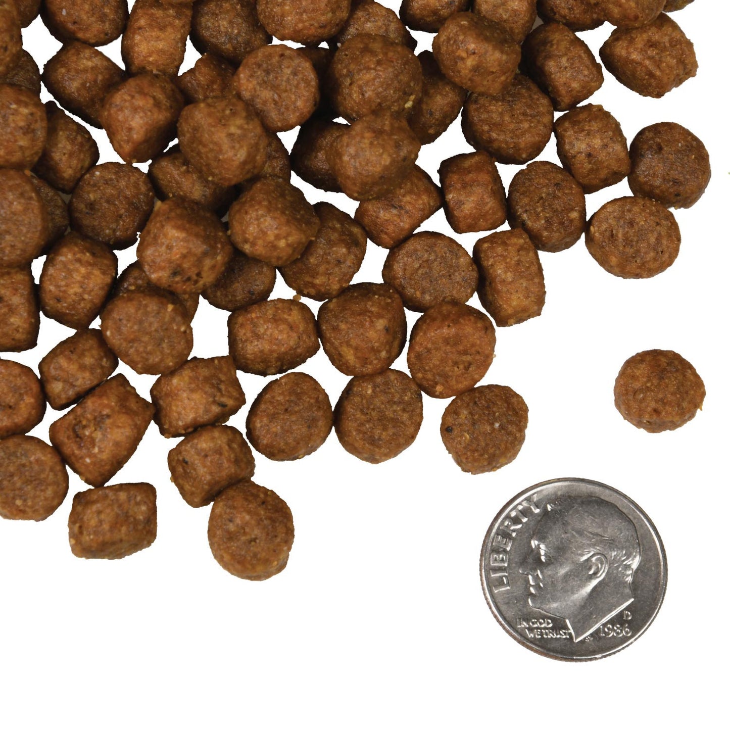 Fromm Salmon Tunalini® Recipe Dog Food