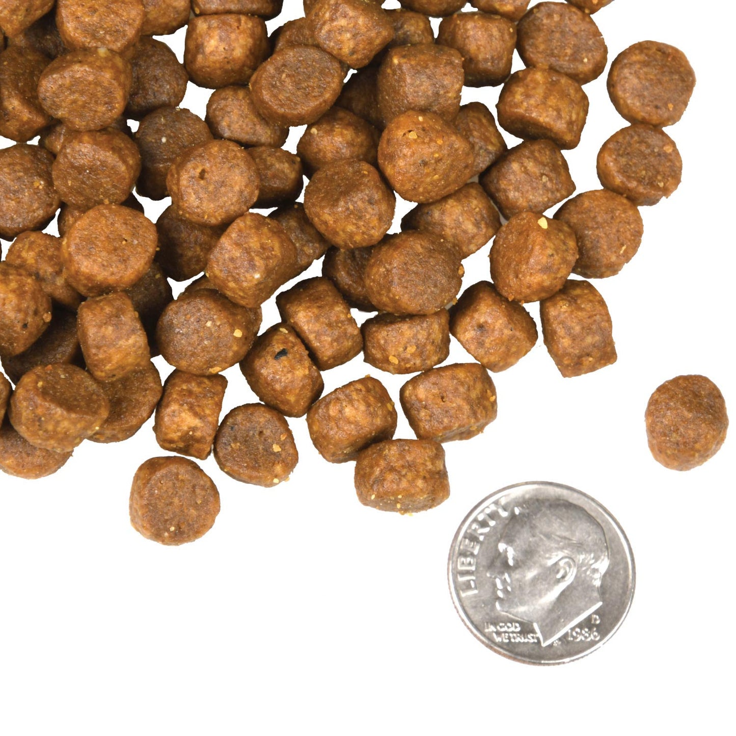 Fromm Surf & Turf Recipe Dog Food
