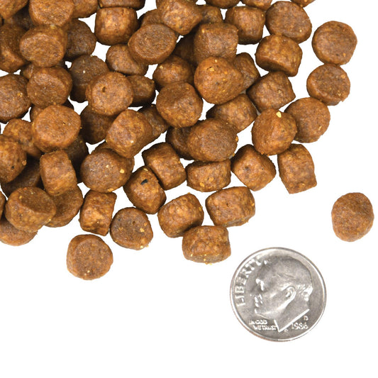 Fromm Surf & Turf Recipe Dog Food