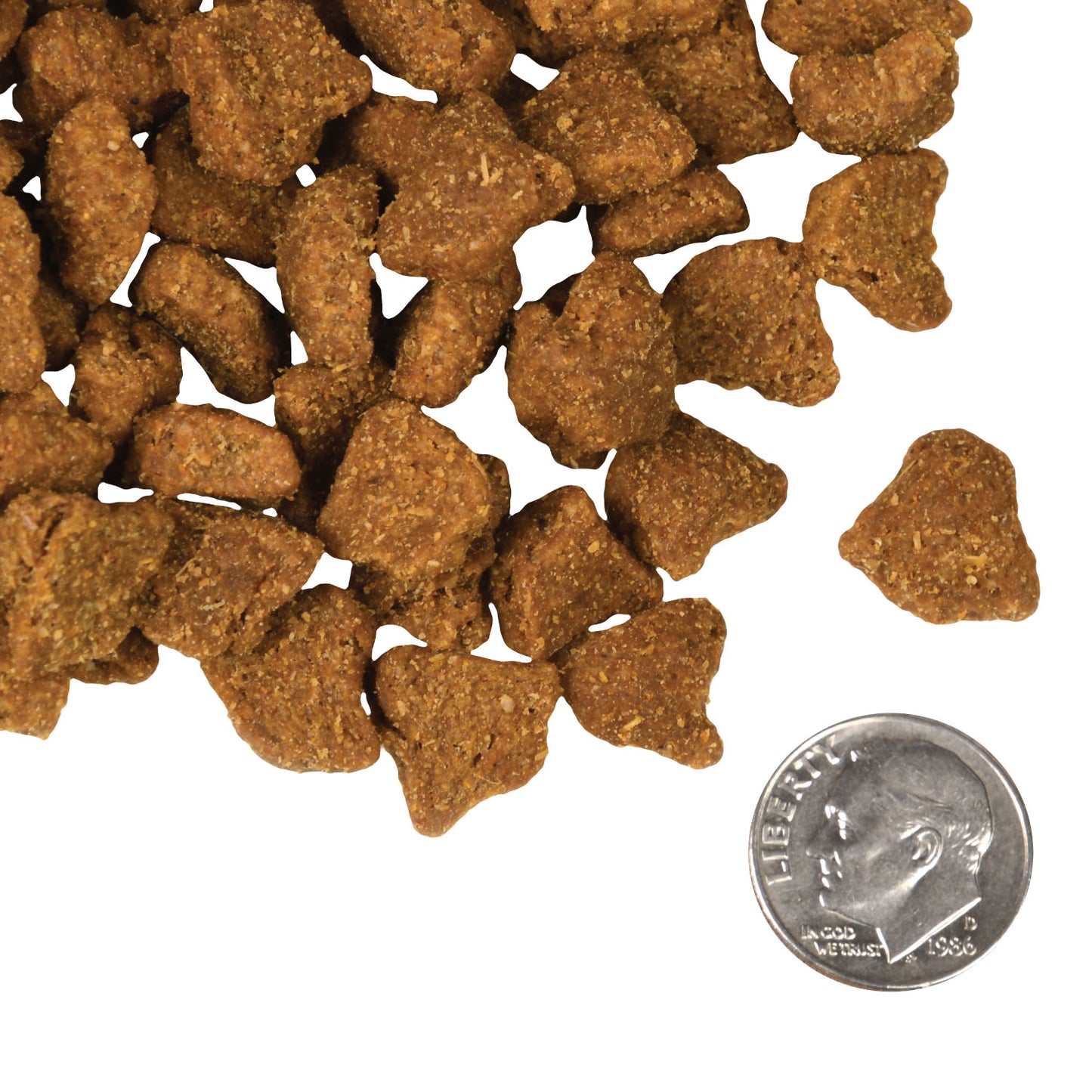 Fromm Zealambder™ Recipe Dog Food