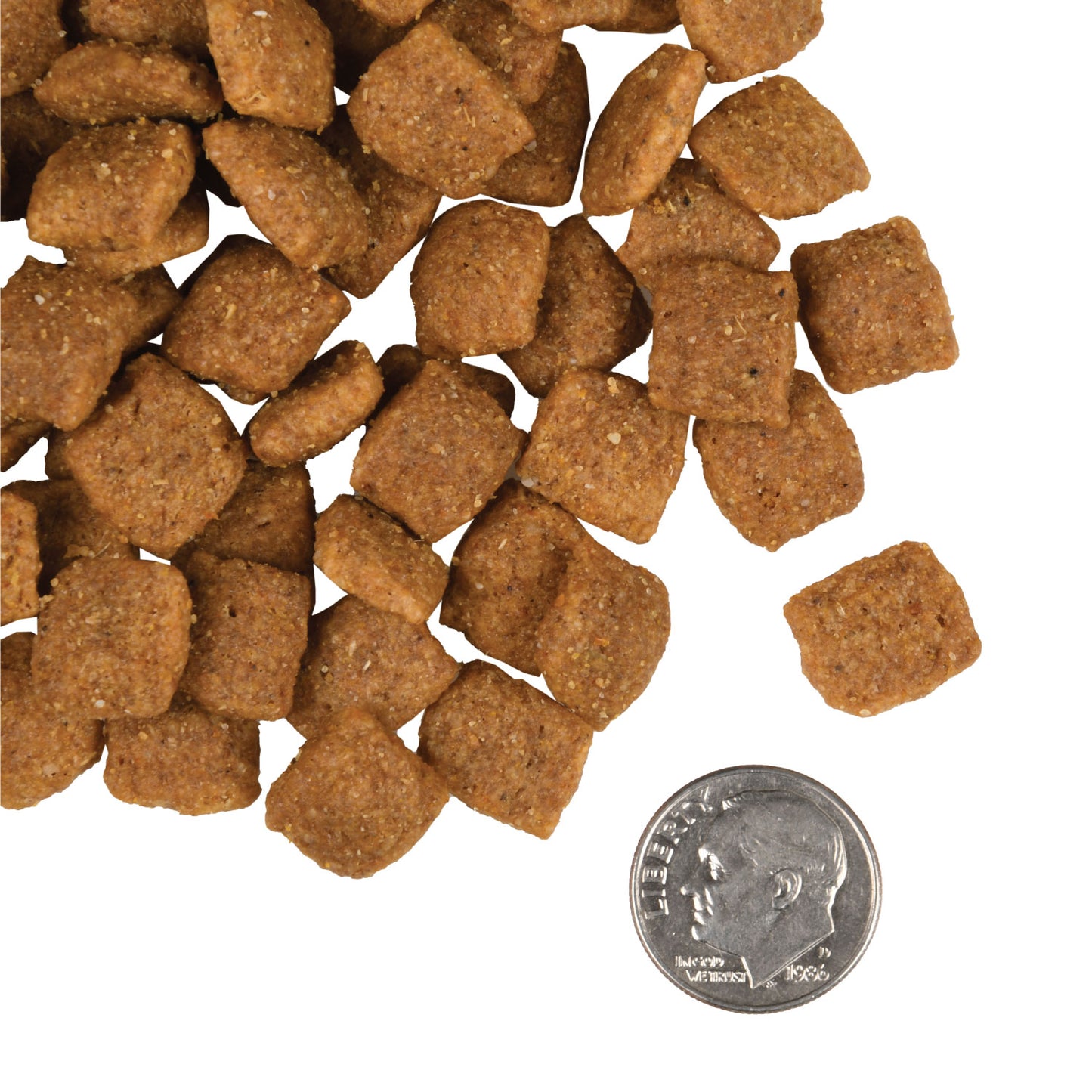 Fromm Large Breed Puppy Gold Dog Food