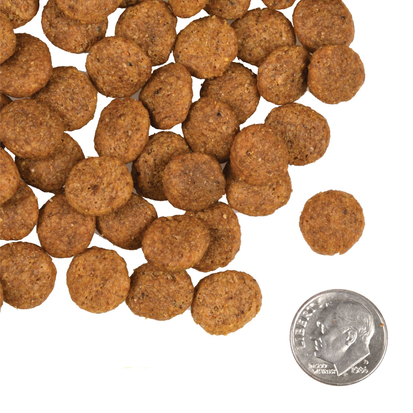 Fromm Gold Coast Weight Management Dog Food