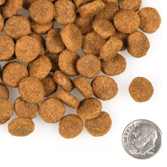 Fromm Heartland Gold Large Breed Adult Dog Food