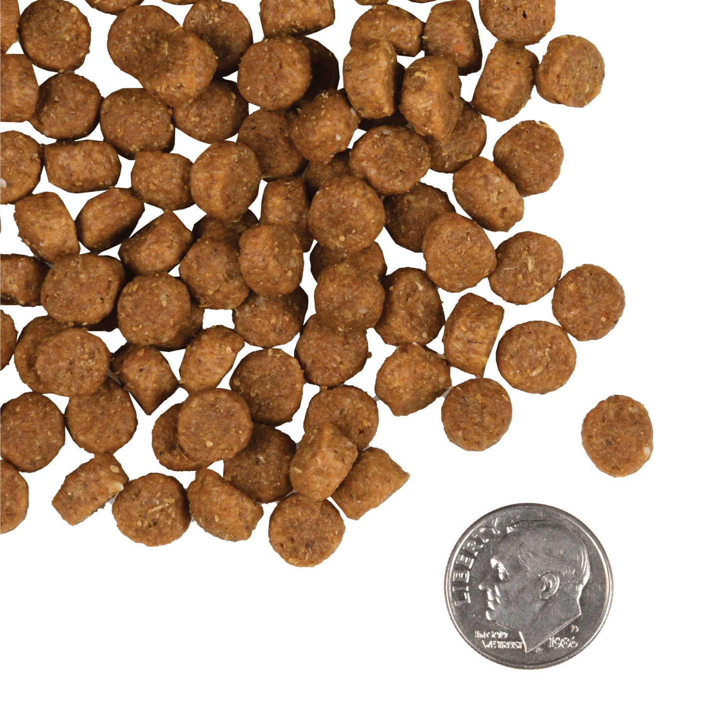 Fromm Puppy Gold Dog Food