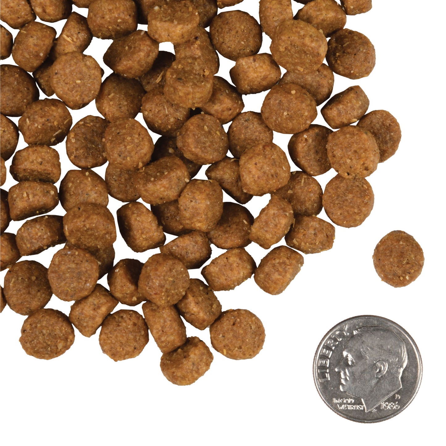 Fromm Small Breed Adult Gold Dog Food