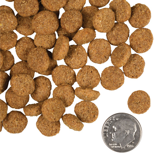 Fromm Weight Management Gold Dog Food