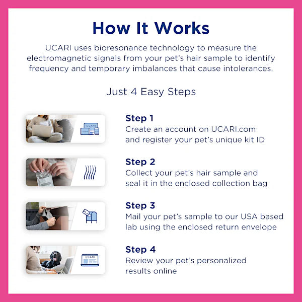 Pet Intolerance Test Kit (Elite)