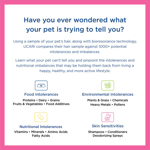 Pet Intolerance Test Kit (Elite)