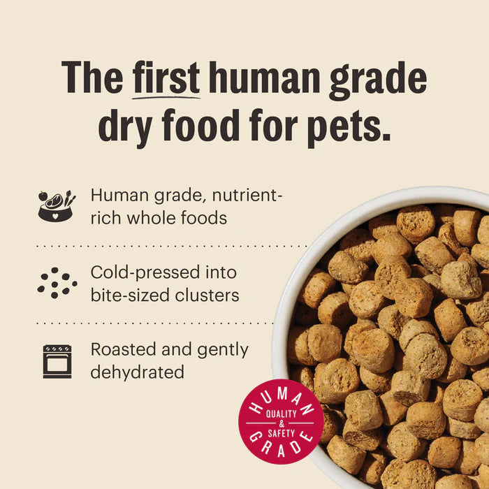 Honest Kitchen Grain Free Turkey Whole Food Clusters